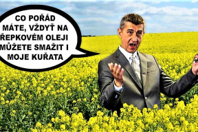 na-cizim-se-krasne-hospodari-a-jeste-se-za-to-berou-dotace-a-neni-to-kocourkov