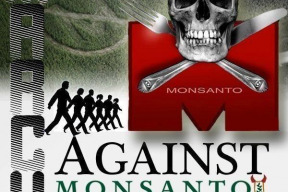 celosvetovy-pochod-proti-monsantu-praha-bratislava-25-5-2013