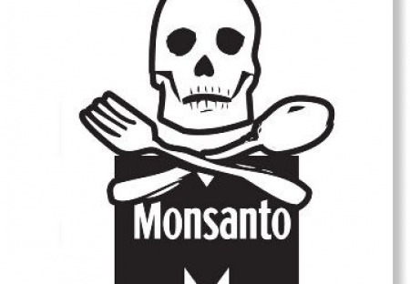 Druhé největší nizozemské město zakázalo Monsantův Roundup