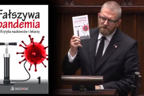 po-ska-knizna-senzacia-falosna-pandemia