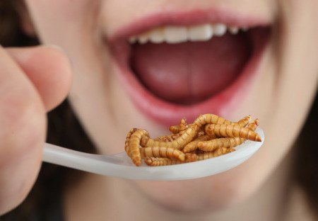 The Great Reset: Steak & Caviar pro ně, hmyz & červi pro nás!!!