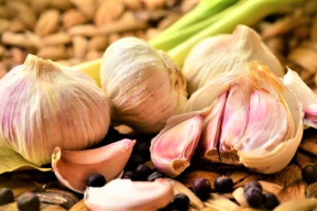 covid-19-domaci-vakcina