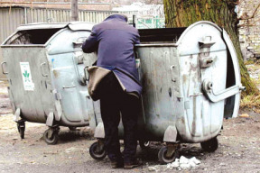 paraziti-vyrabi-bezdomovce
