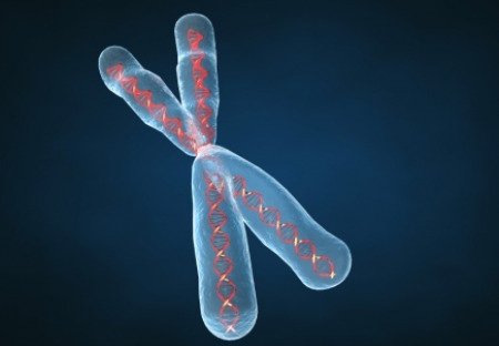 DNA skrývá netušené možnosti