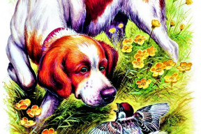 vedcum-nestacilo-co-napachal-covid-19-za-3-roky