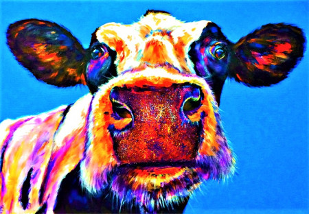 Prohlášení DSZ - ZA PRÁVA ZVÍŘAT k petici za zavedení kamerových systémů na jatkách