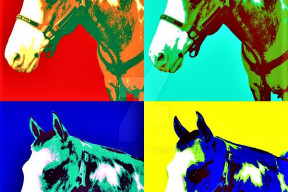 prohlaseni-dsz-za-prava-zvirat-k-prekroceni-10-tisic-podpisu-pod-jeji-petici-za-zruseni-taxisova-prikopu-pro-zavody-koni-na-velke-pardubicke-a-zmirneni-dalsich-nebezpecnych-prekazek