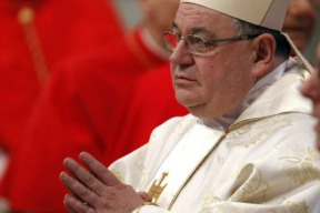 je-dominik-duka-vic-kardinalem-nebo-politikem-a-ekonomem