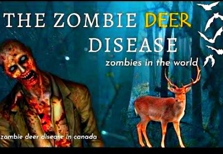 Zombie virus jelenů: USA jsou v pohotovosti kvůli nové zdravotní hrozbě