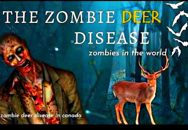 zombie-virus-jelenu-usa-jsou-v-pohotovosti-kvuli-nove-zdravotni-hrozbe