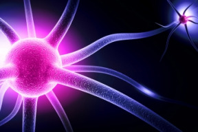 vedci-potvrdili-dusi-ktera-neumira