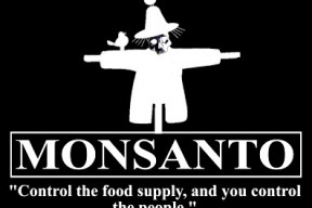 petice-za-zavedeni-zakona-na-zakaz-pestovani-geneticky-modifikovanych-organismu-a-jejich-pouzivani-v-potravinarstvi-na-uzemi-ceske-republiky-pochod-proti-monsanto
