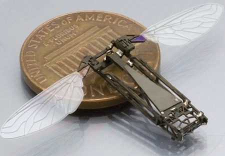 Monsanto vyvine vlastní robotické včely