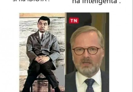 4 roky fialové hrůzy nestačí