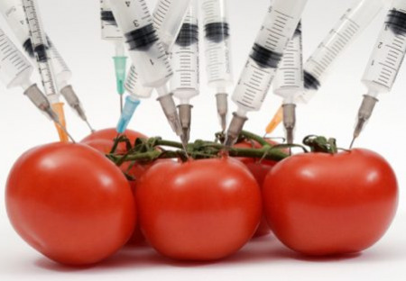 Šokujúca ruská správa: GMO potraviny - „Biozbraň“ (časť prvá)