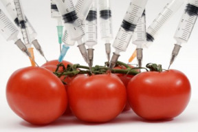 poslanci-prirovnavaju-producentov-gmo-k-teroristom