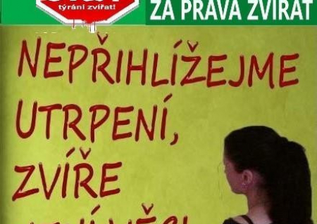 Otevřený dopis kandidátky DSZ - ZA PRÁVA ZVÍŘAT do PS PČR Zuzany Andelové