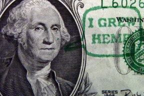 konopi-bez-thc-nefunguje-dalsi-lez-pharma-korporaci-a-systemu