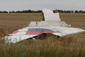 jedine-dve-jistoty-ohledne-trgedie-boeingu-mh-17-aneb-jak-bych-si-predstavoval-interpelaci-ceskych-poslancu