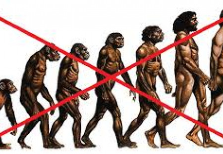 Darwinova evoluční teorie se hroutí