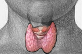 fukusima-druhy-pruzkum-prokazal-dalsi-onemocneni-rakovinou-stitne-zlazy-u-deti-dalsi-jaderne-zpravy