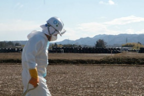 4-roky-pokracujici-katastrofy-ve-fukusime-dalsi-jaderne-zpravy