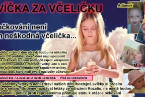 svicka-za-vcelicku-vzpominka-na-obeti-nezadoucich-ucinku-vakcinace-utery-7-iv-2015-v-19-mestech-ceska