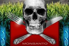 pochod-proti-monsantu-gmo-ttip