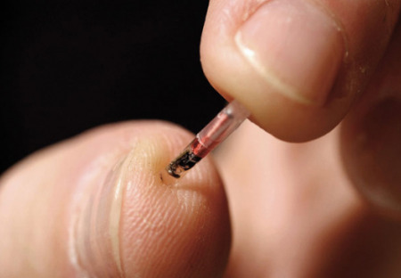 Evropská Unie chce očipovat všechny živé bytosti.