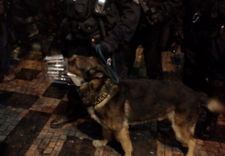 Policisté v rolích fašistů, policisté jako obětní beránci ? Ministře okamžitě odstupte!!!