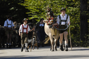 nemecko-od-radu-k-chaosu