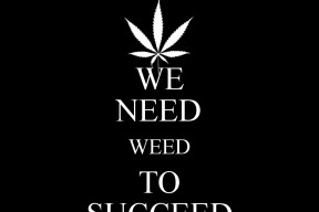 cesko-zachrani-snad-uz-jen-konopi