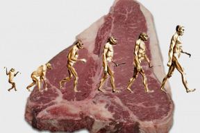 konzumacia-m-sa-nas-po-udstila