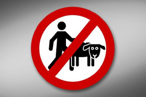 budouci-pracovni-elita