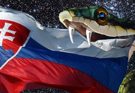 Reakcia na voľby do VÚC na Slovensku