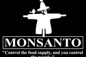 monsanto2