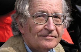 chomsky-noam-vyrez