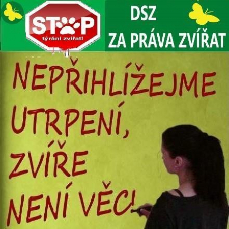 Otevřený dopis kandidátky DSZ - ZA PRÁVA ZVÍŘAT do PS PČR Zuzany Andelové
