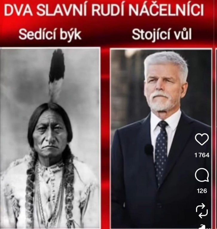 ing-karin-szczyrbova-manifest-protest-a-ohrazeni-se-proti-vyjadreni-pana-prezidenta-petra-pavla