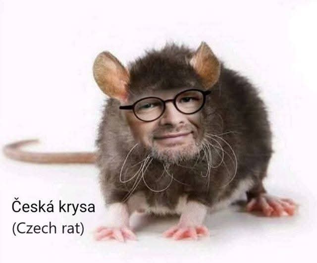 lidova-tvorivosta-nejen-na-tema-fialove-zumpy-9-11-2025